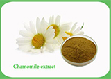 Chamomile extract.jpg