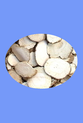 Dahurian Angenica Root (bai zhi)