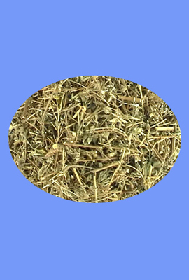 Elscholtzia, Mosla (xiang ru)