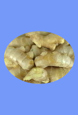 Fresh Ginger (sheng jiang)