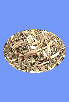 Schizonepeta (jing jie)
