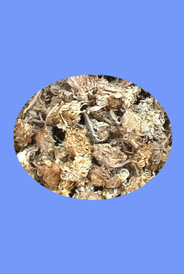 Chrysanthemum Flower (ju hua)