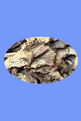 Cimicifuga Rhizome (sheng ma)