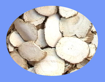 Dahurian  Angenica Root (bai zhi) 