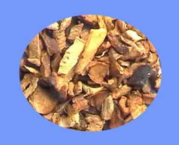Anemarrhena Rhizome (zhi mu)