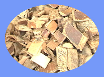 Ash Bark (qin pi)