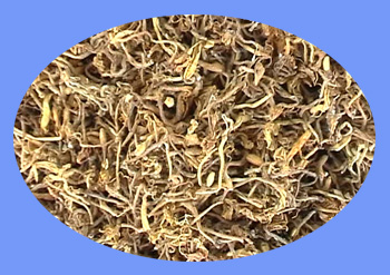 Honeysuckle Flower (jin yin hua)
