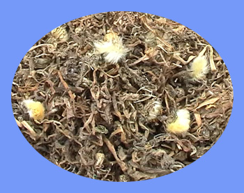 Dandelion Herb (pu gong ying)