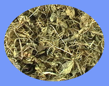 Viola Herb (zi hua di ding)