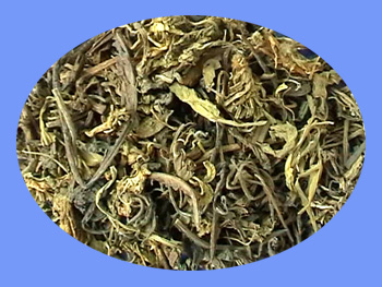 Isatis Leaf  (da qing ye)