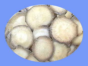 Prepared Aconite Root (fu zi)