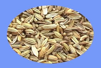 Common Fennel Fruit (xiao hui xiang)