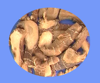 Galangal Rhizome (gao liang jiang)