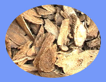 Aucklandia Root (mu xiang)  