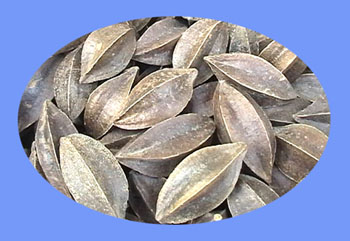Quisqualis Fruit (shi jun zi)  