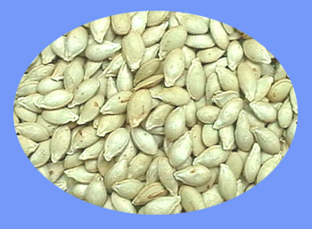 Pumpkin Seed (nan gua zi)  