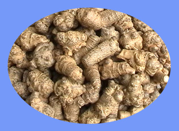 Notoginseng (san qi)