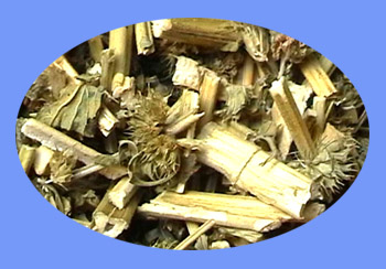 Motherwort (yi mu cao)