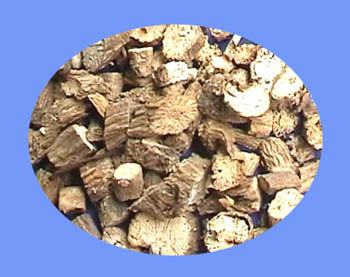  Peucedanum Root (qian hu)  