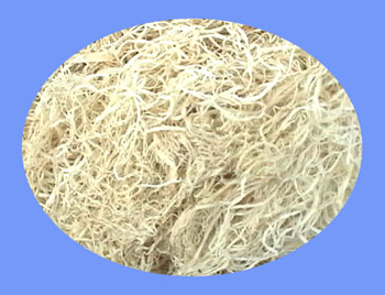 Bamboo Shavings (zhu ru)