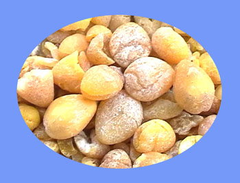 Gingko Nut (bai guo) 