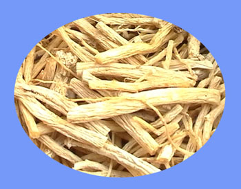 Codonopsis Root (dang shen) 