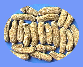 American Ginseng Root (xi yang shen)