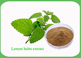 Lemon Balm Extract