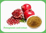 Pomegranate seed extract