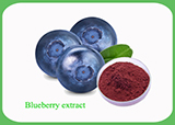 Blueberry Extract