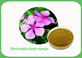 Catharanthus roseus (L.) G. Don