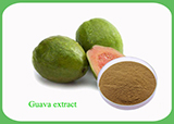 Guava Extract