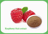  Raspberry Fruit Extarct
