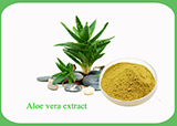 Aloe Vera Extract