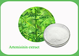 Artemisinin Extract