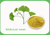 Ginkgo Biloba Leaf Extract