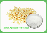 Bitter Apricot Seed extract 