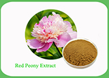  Red Peony Extract