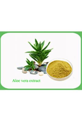 Aloe Vera Extract