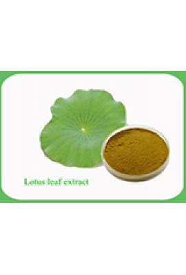 Lotus Leaf Extract