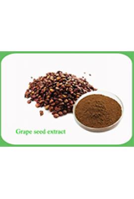 Grape Seed Extract