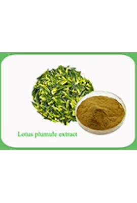 Lotus Plumule Extract
