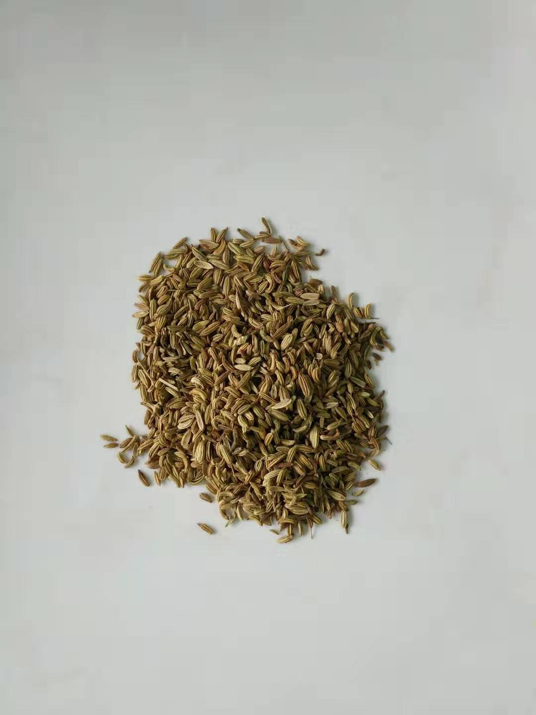 xiao hui xiang